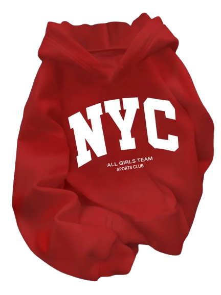 NYC Heritage Hoodie